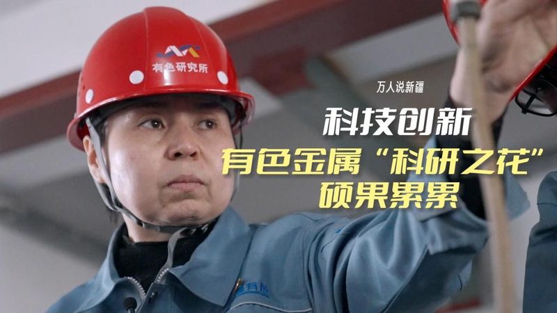 企业搜索软件：如何评估报价单中的关键要素**